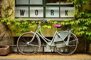 bike-bicycle-plants-pots-leaves-work-window